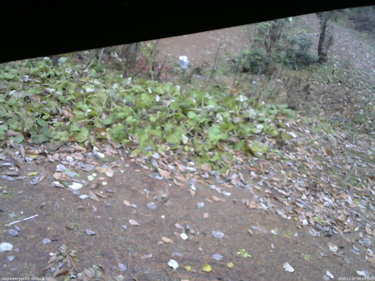 長野県菅平高原 ゆたか山荘 駐車場 2025/11/07 08:00