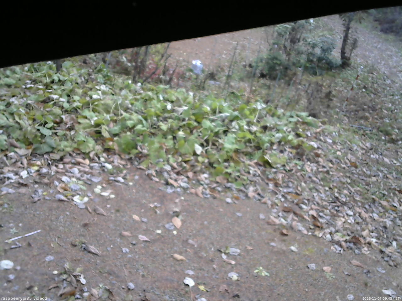 長野県菅平高原 ゆたか山荘 駐車場 2025/11/07 09:45