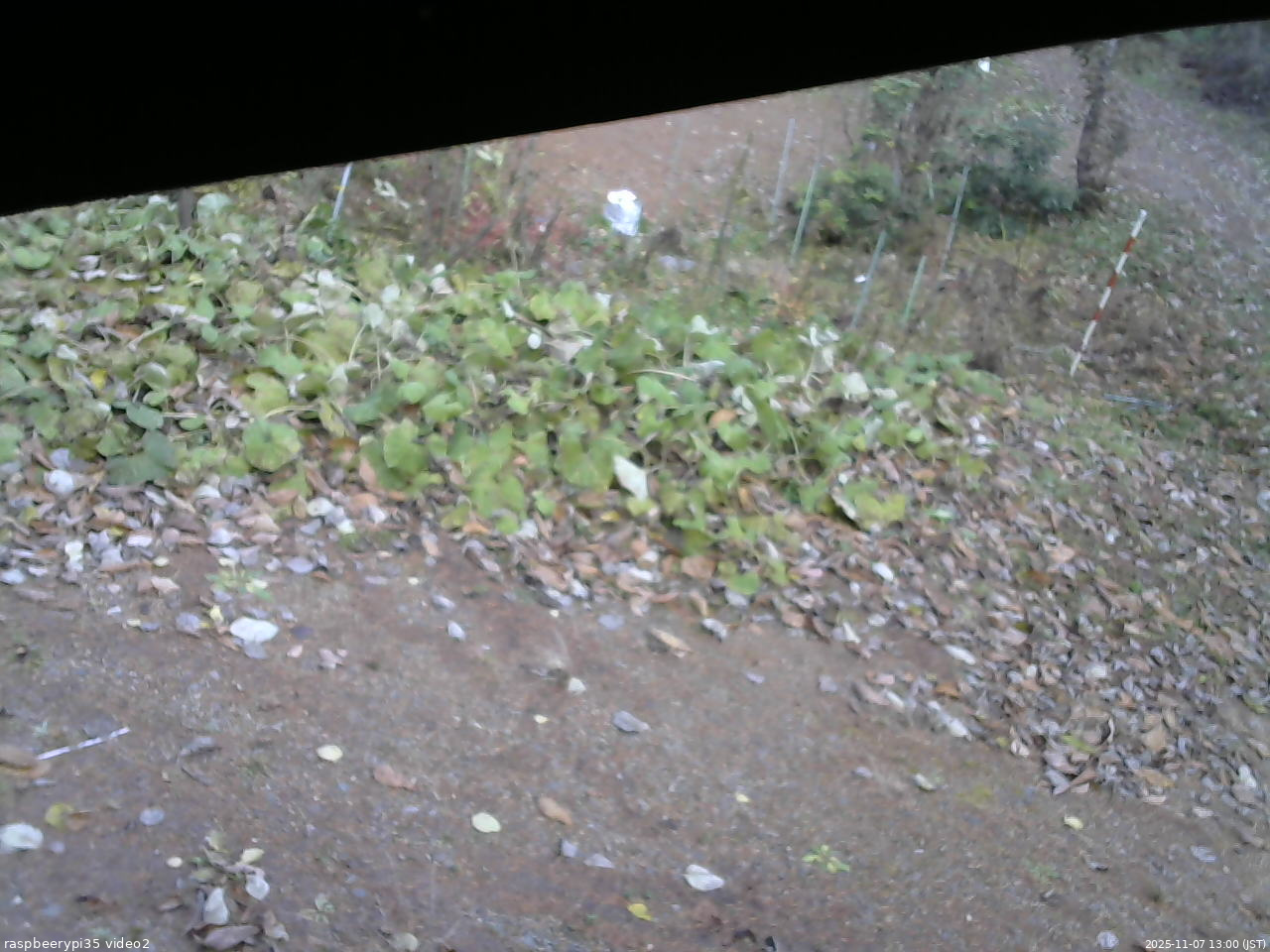長野県菅平高原 ゆたか山荘 駐車場 2025/11/07 13:00