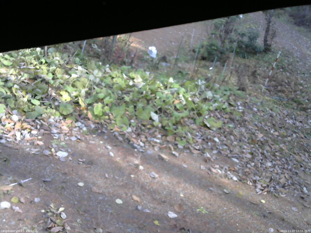 長野県菅平高原 ゆたか山荘 駐車場 2025/11/07 13:15