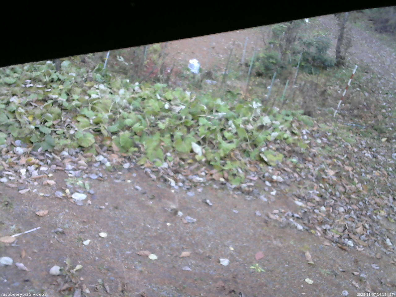 長野県菅平高原 ゆたか山荘 駐車場 2025/11/07 14:15