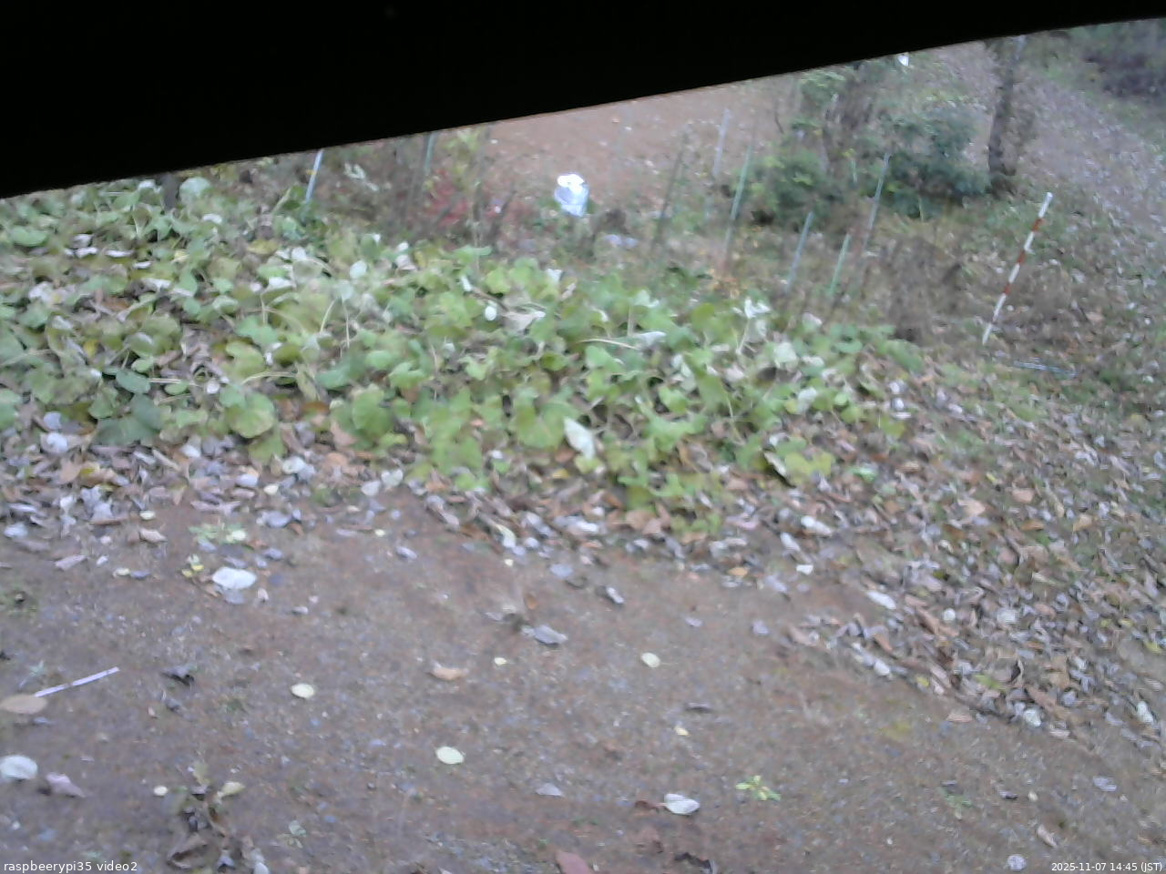 長野県菅平高原 ゆたか山荘 駐車場 2025/11/07 14:45