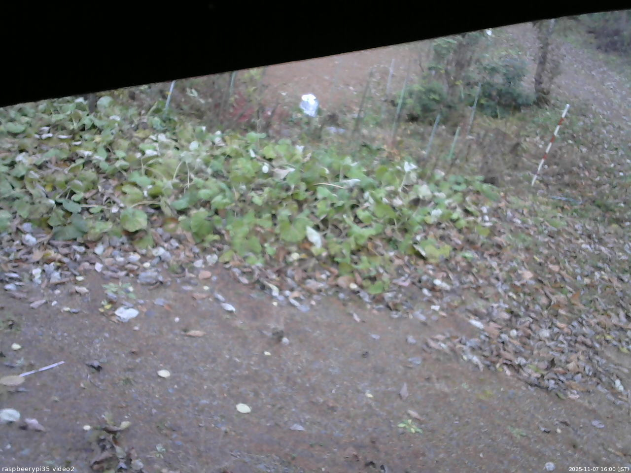 長野県菅平高原 ゆたか山荘 駐車場 2025/11/07 16:00