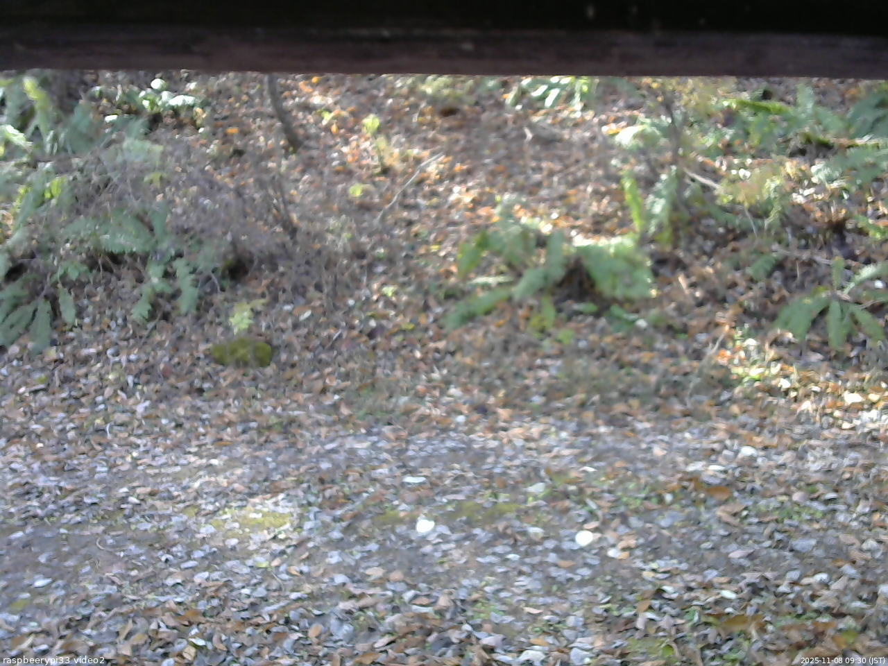 長野県菅平高原 ゆたか山荘 南側 2025/11/08 09:30