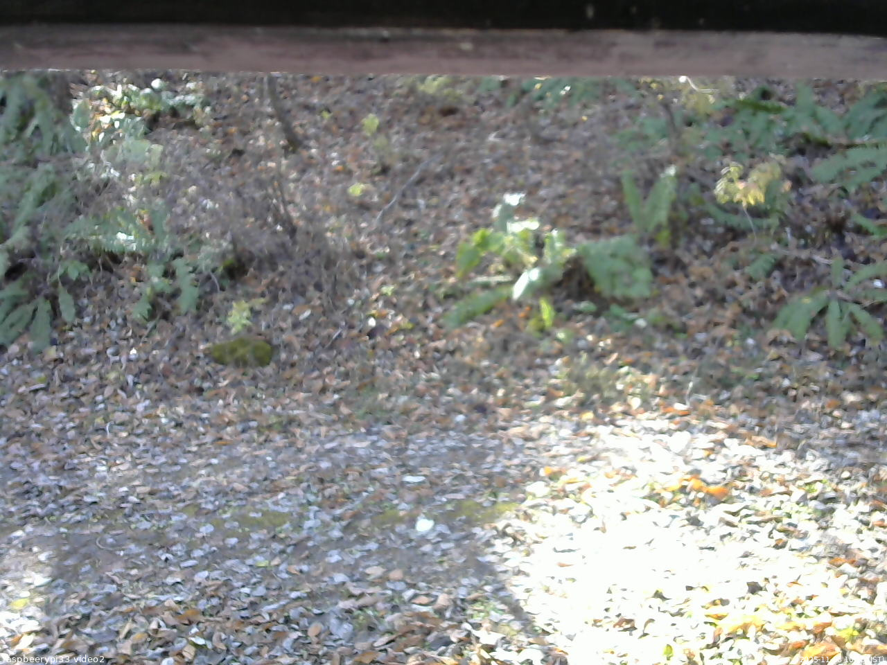 長野県菅平高原 ゆたか山荘 南側 2025/11/08 10:15