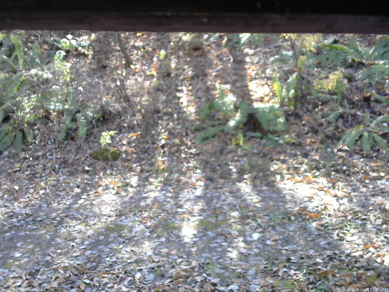 長野県菅平高原 ゆたか山荘 南側 2025/11/08 11:15