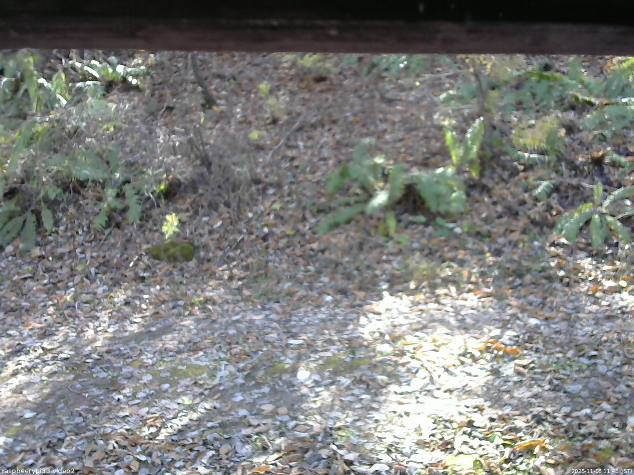 長野県菅平高原 ゆたか山荘 南側 2025/11/08 11:45