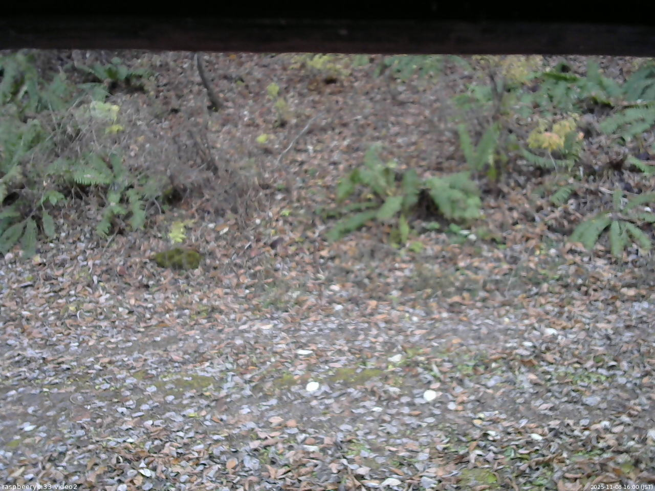 長野県菅平高原 ゆたか山荘 南側 2025/11/08 16:00
