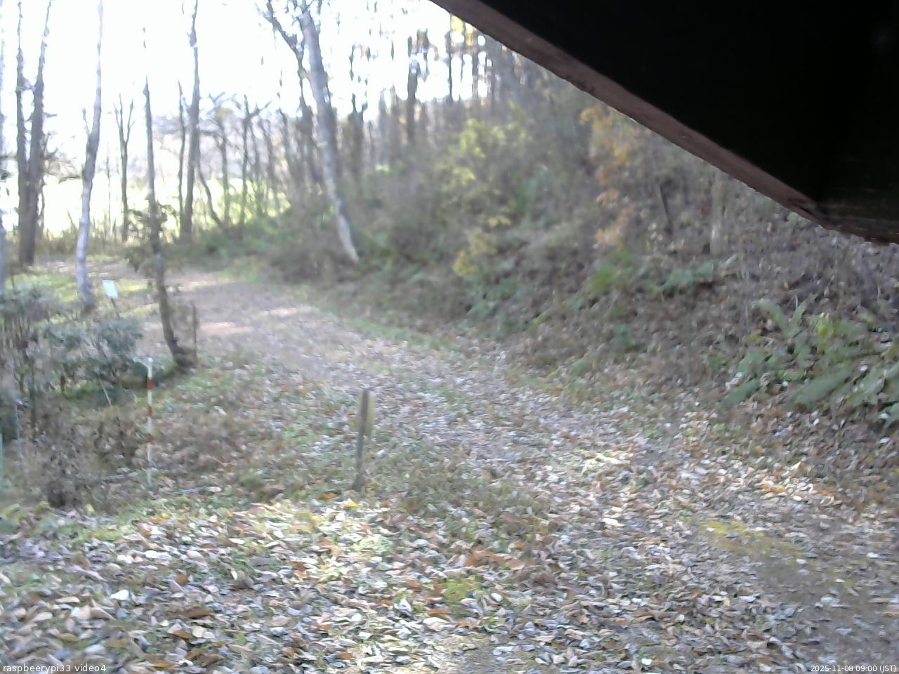長野県菅平高原 ゆたか山荘 東側(坂下) 2025/11/08 09:00