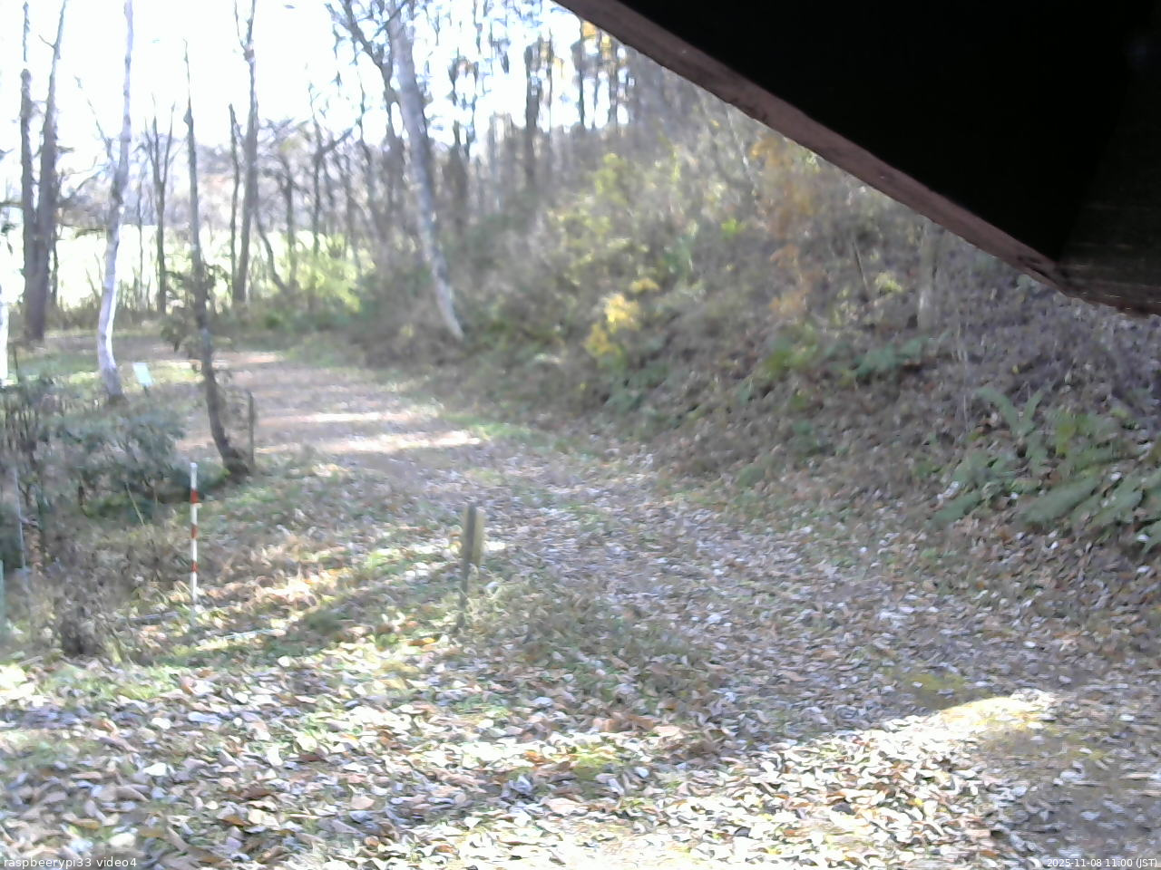 長野県菅平高原 ゆたか山荘 東側(坂下) 2025/11/08 11:00