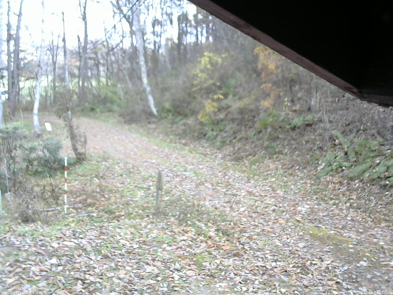 長野県菅平高原 ゆたか山荘 東側(坂下) 2025/11/08 14:15