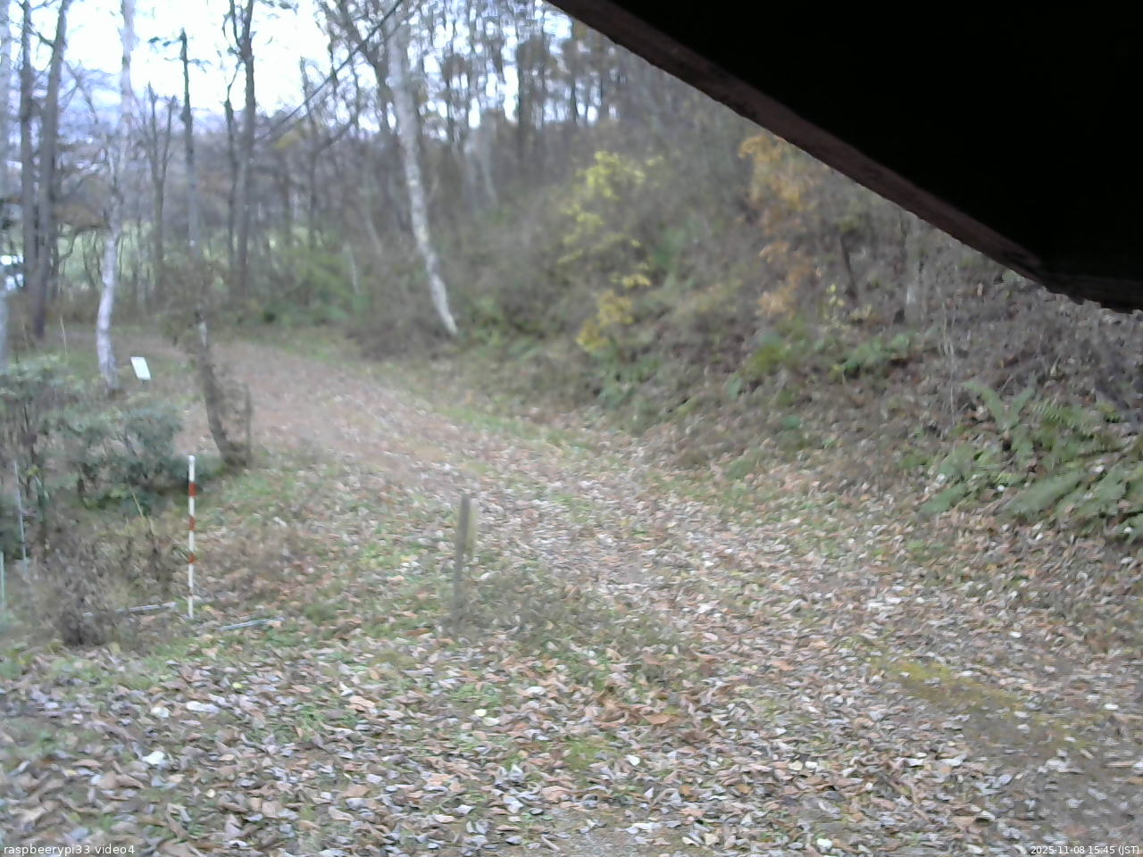 長野県菅平高原 ゆたか山荘 東側(坂下) 2025/11/08 15:45