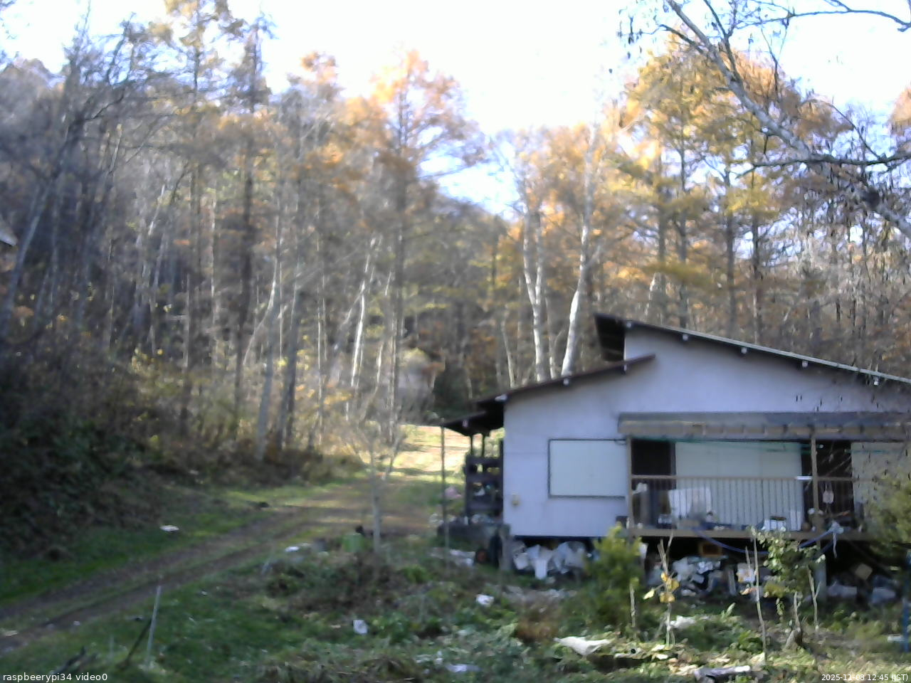 長野県菅平高原 ゆたか山荘 西側(坂上) 2025/11/08 12:45