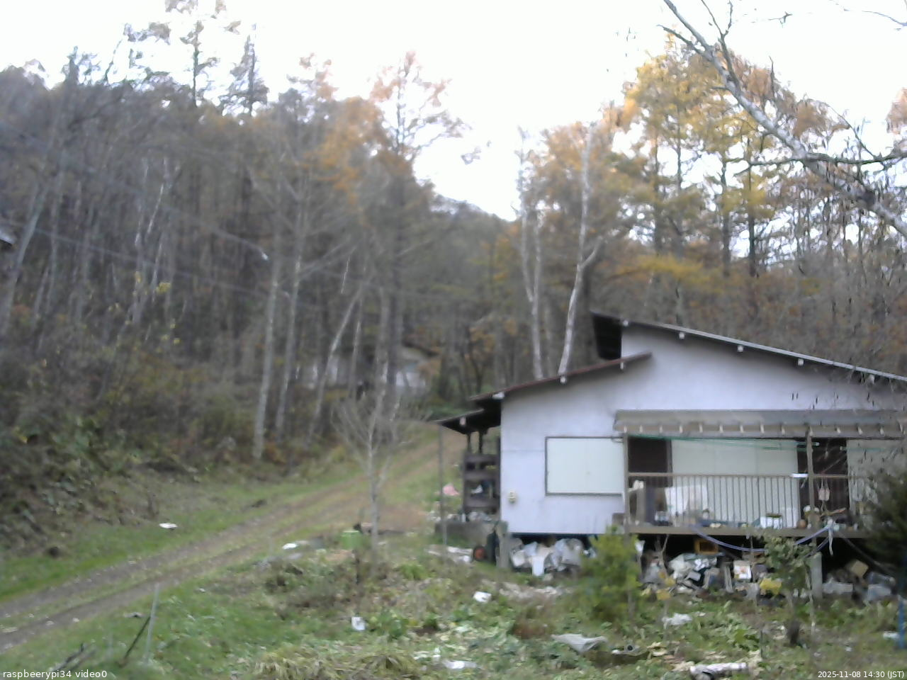 長野県菅平高原 ゆたか山荘 西側(坂上) 2025/11/08 14:30