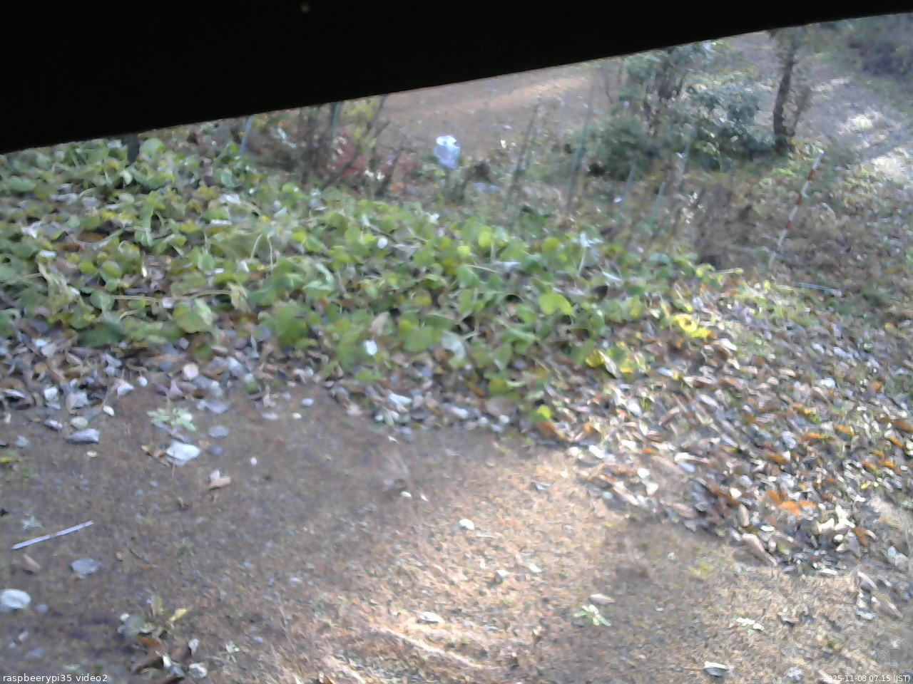 長野県菅平高原 ゆたか山荘 駐車場 2025/11/08 07:15