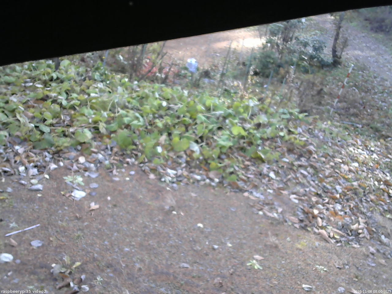 長野県菅平高原 ゆたか山荘 駐車場 2025/11/08 08:00