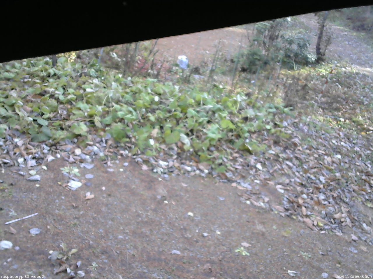 長野県菅平高原 ゆたか山荘 駐車場 2025/11/08 09:45