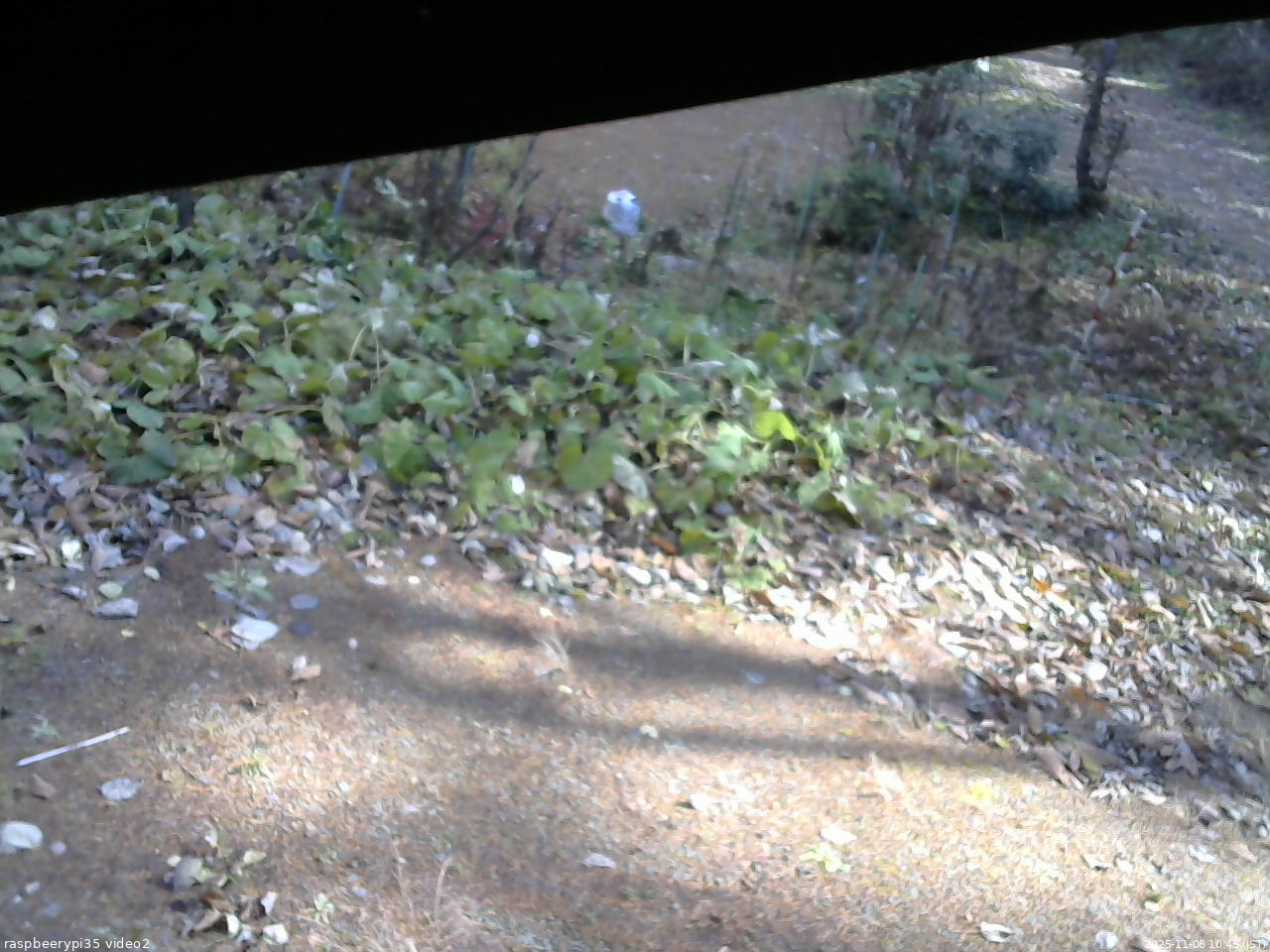 長野県菅平高原 ゆたか山荘 駐車場 2025/11/08 10:45