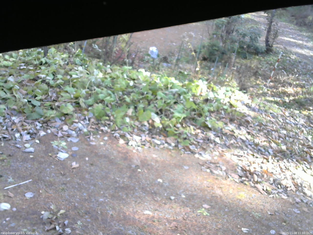 長野県菅平高原 ゆたか山荘 駐車場 2025/11/08 11:00