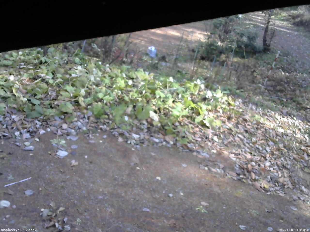 長野県菅平高原 ゆたか山荘 駐車場 2025/11/08 11:30