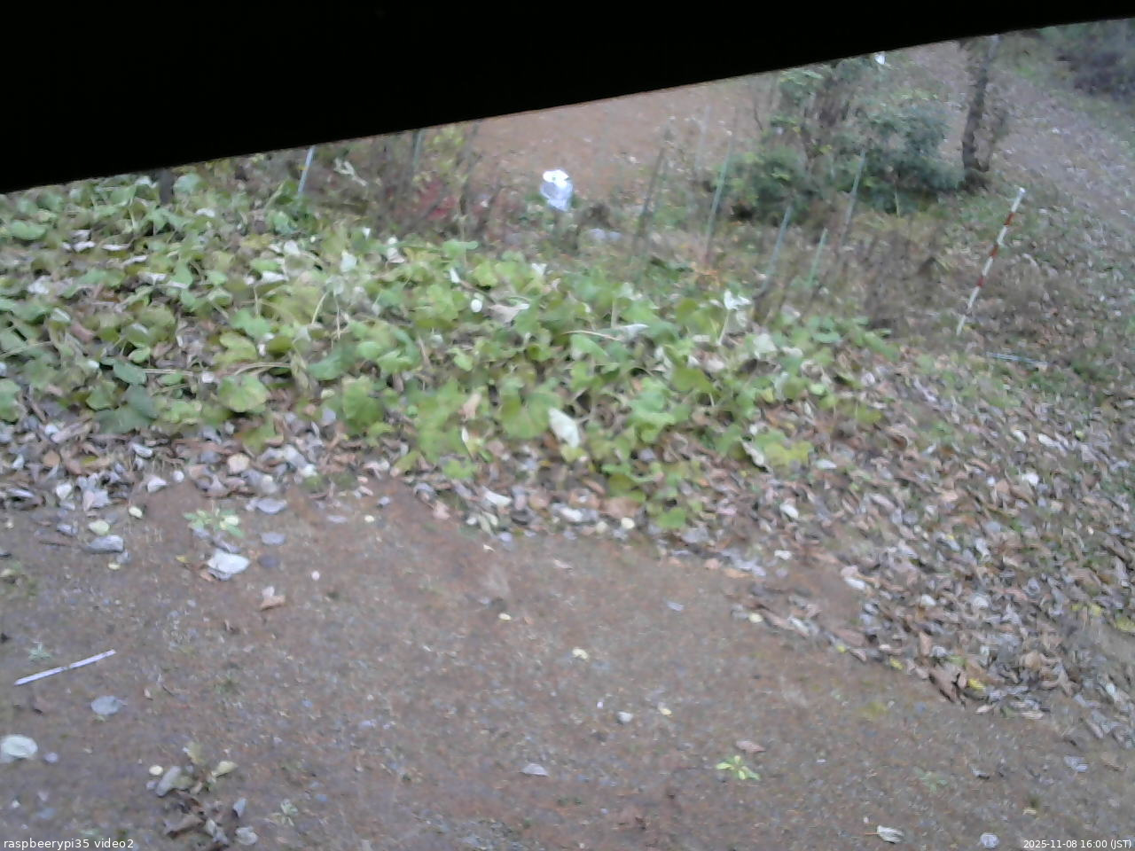 長野県菅平高原 ゆたか山荘 駐車場 2025/11/08 16:00