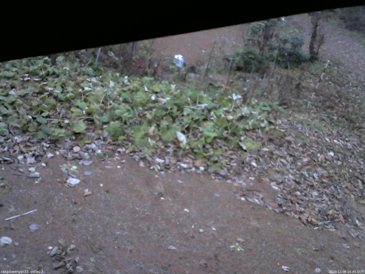 長野県菅平高原 ゆたか山荘 駐車場 2025/11/08 16:45