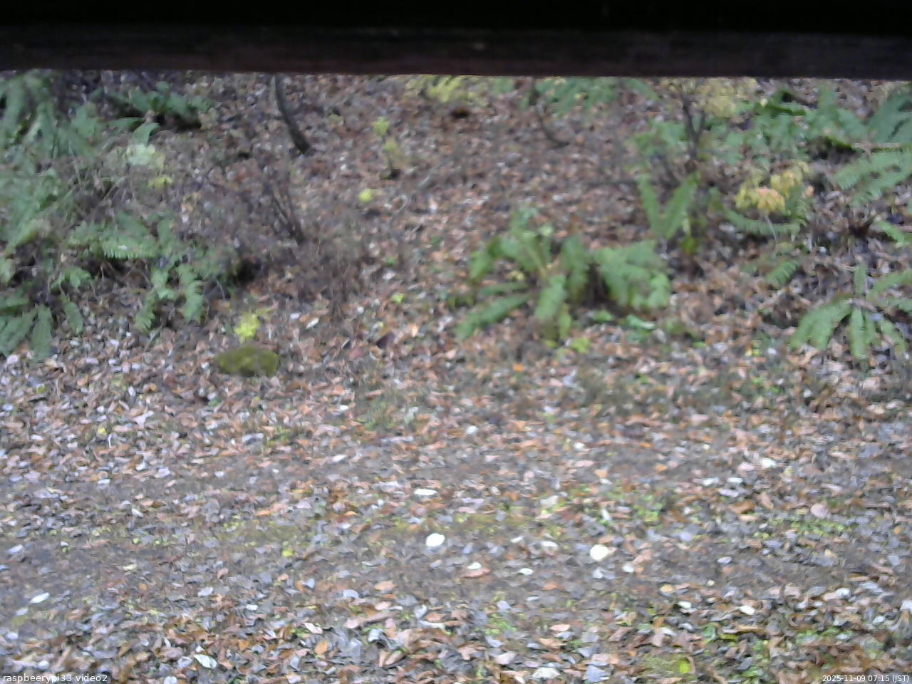 長野県菅平高原 ゆたか山荘 南側 2025/11/09 07:15