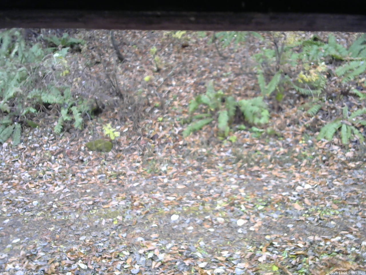 長野県菅平高原 ゆたか山荘 南側 2025/11/09 09:45