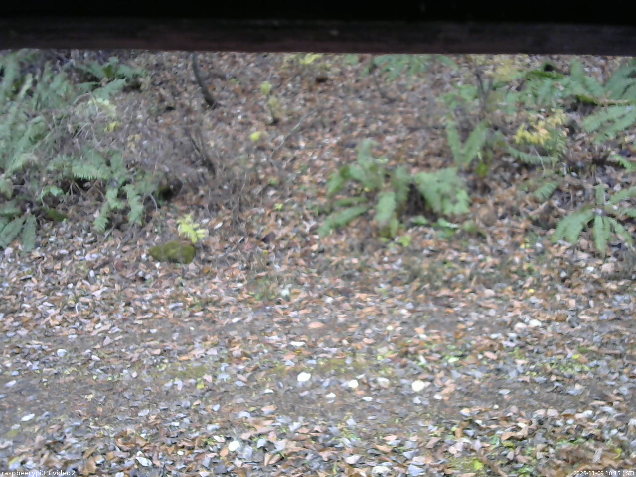 長野県菅平高原 ゆたか山荘 南側 2025/11/09 10:15