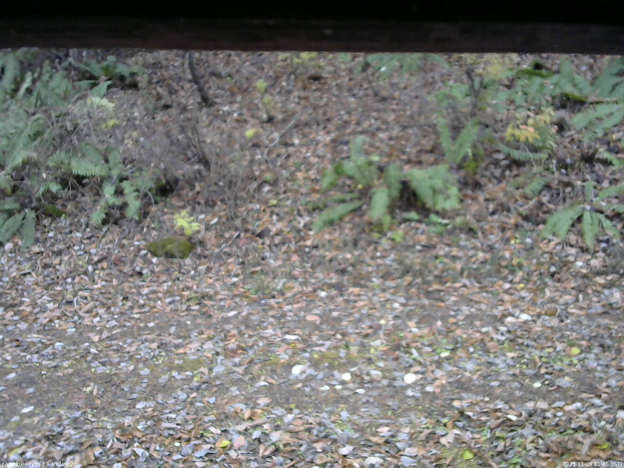 長野県菅平高原 ゆたか山荘 南側 2025/11/09 11:45