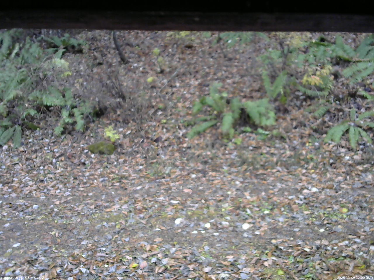 長野県菅平高原 ゆたか山荘 南側 2025/11/09 12:00