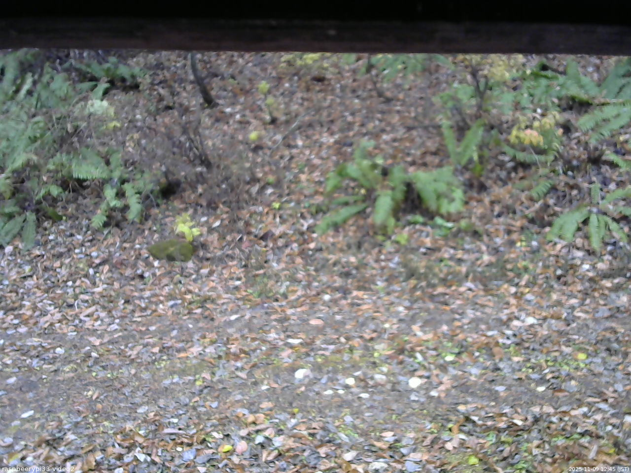 長野県菅平高原 ゆたか山荘 南側 2025/11/09 12:45