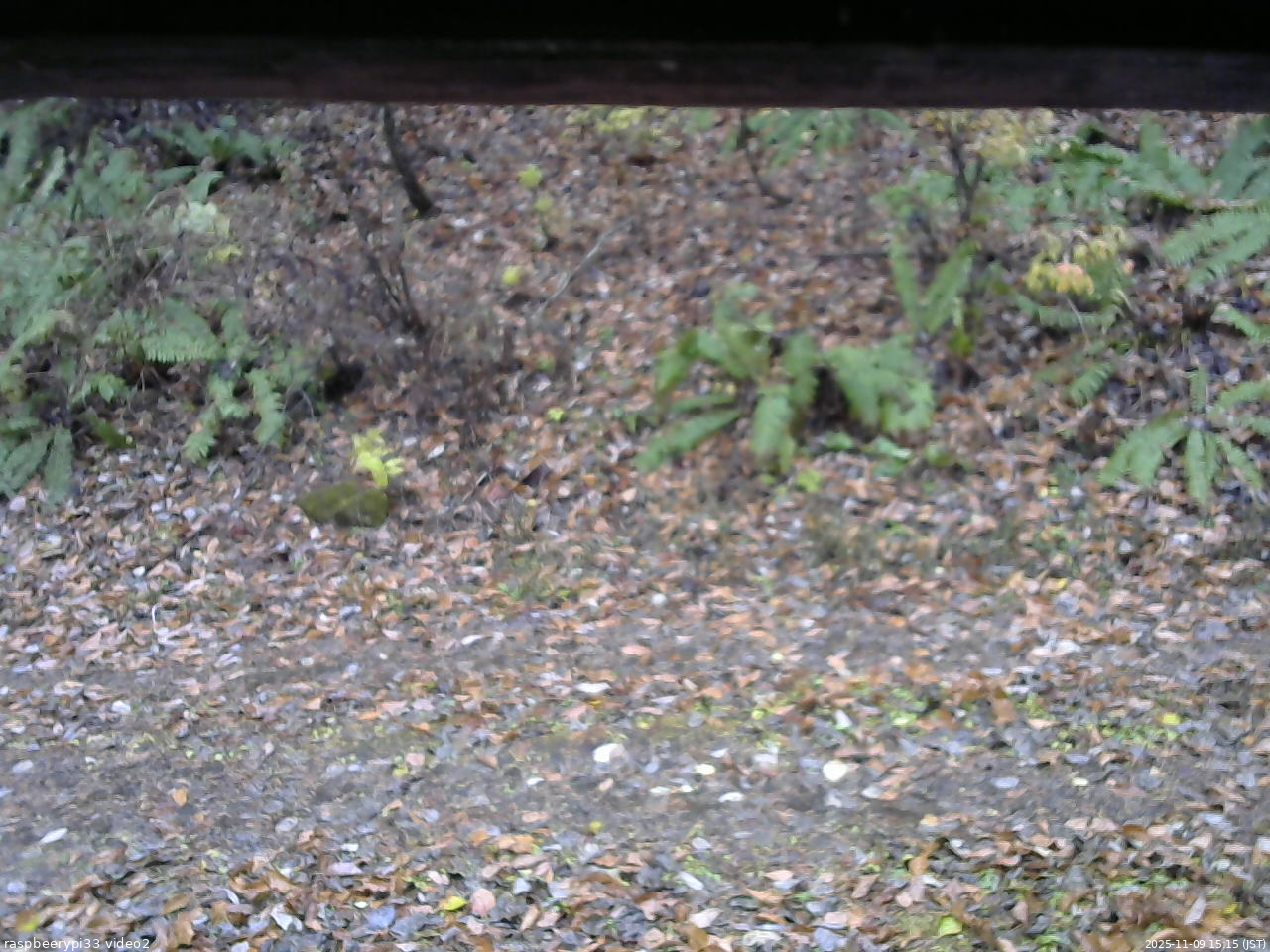 長野県菅平高原 ゆたか山荘 南側 2025/11/09 15:15