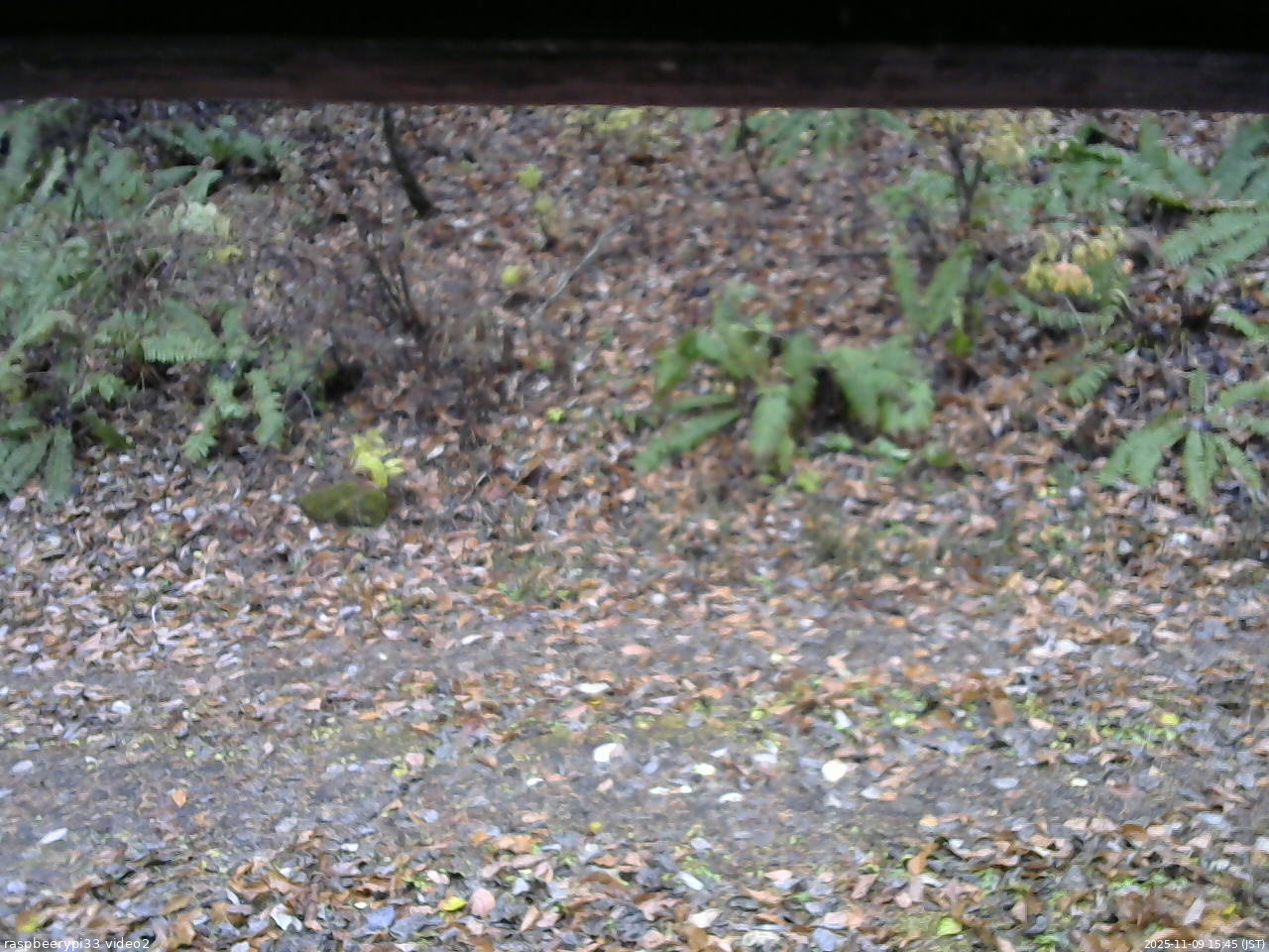 長野県菅平高原 ゆたか山荘 南側 2025/11/09 15:45