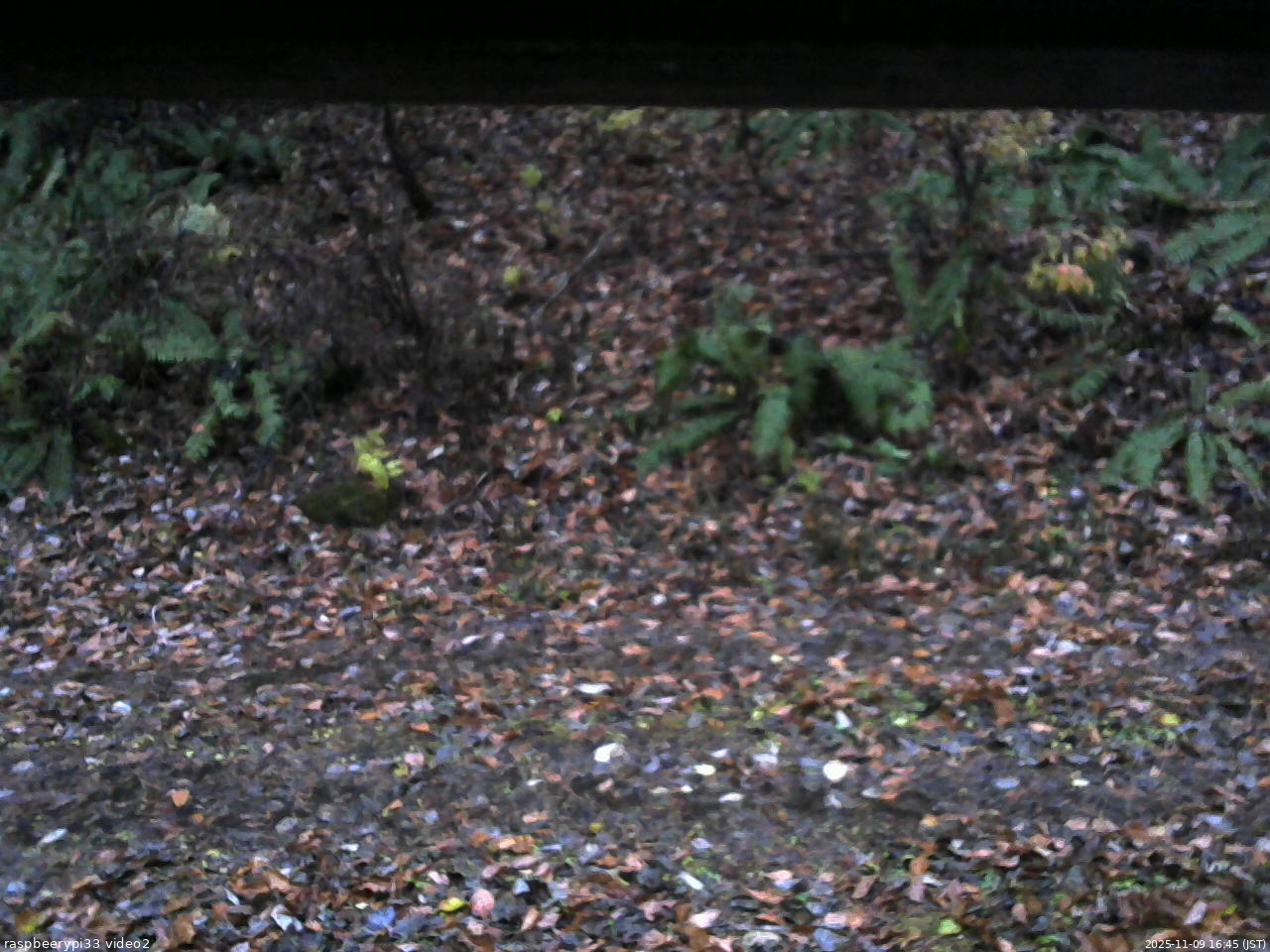 長野県菅平高原 ゆたか山荘 南側 2025/11/09 16:45