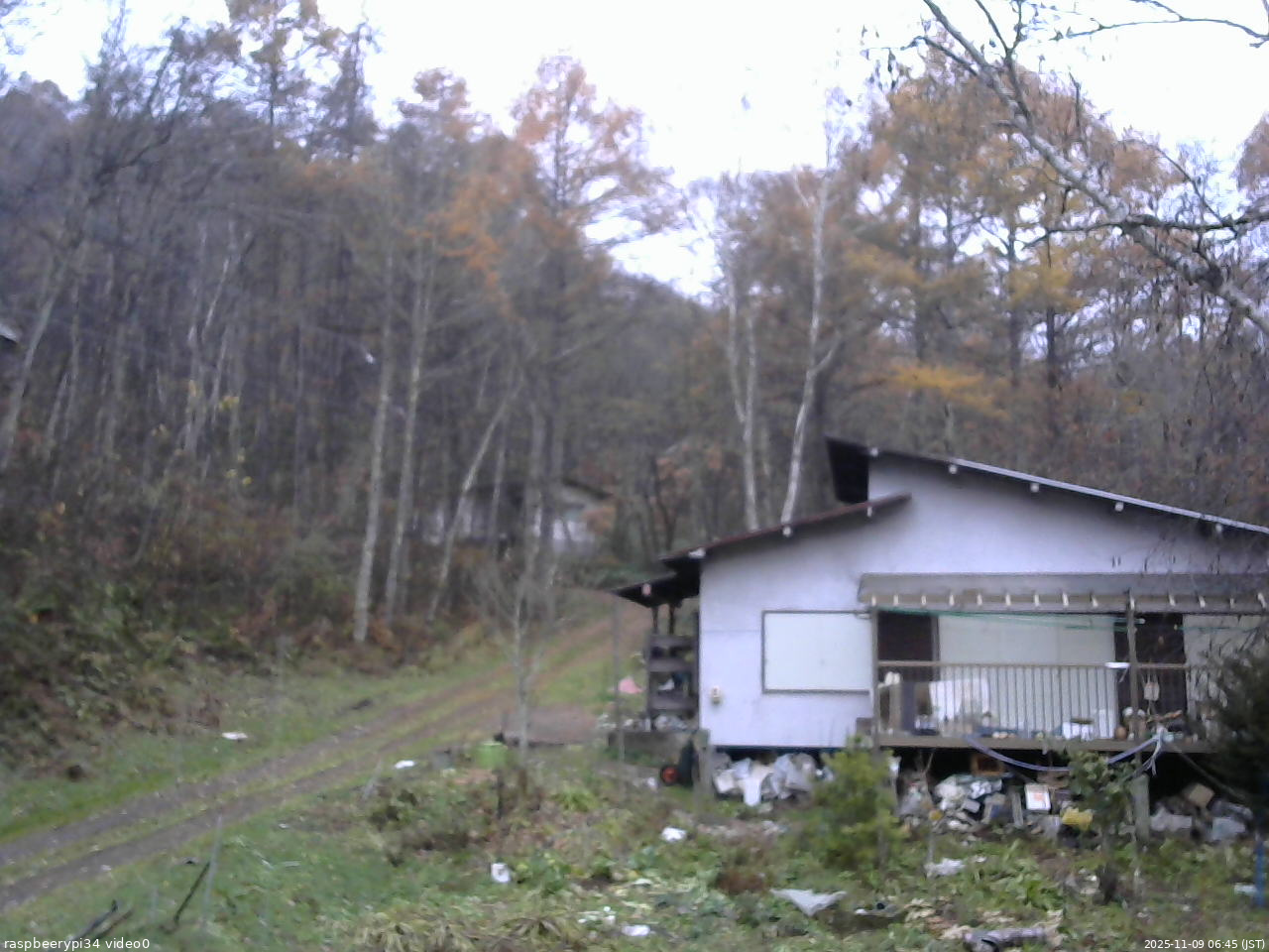 長野県菅平高原 ゆたか山荘 西側(坂上) 2025/11/09 06:45