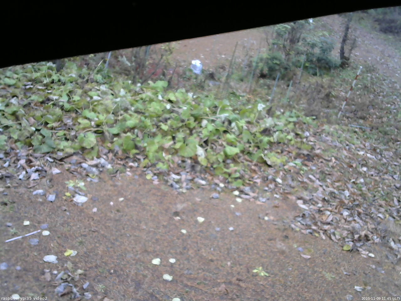 長野県菅平高原 ゆたか山荘 駐車場 2025/11/09 11:45
