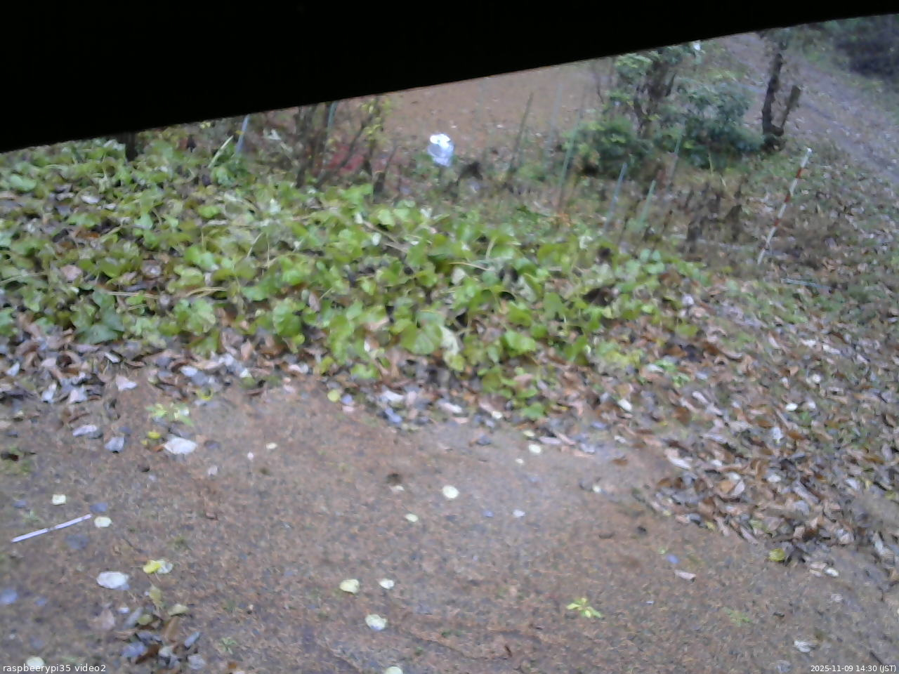 長野県菅平高原 ゆたか山荘 駐車場 2025/11/09 14:30