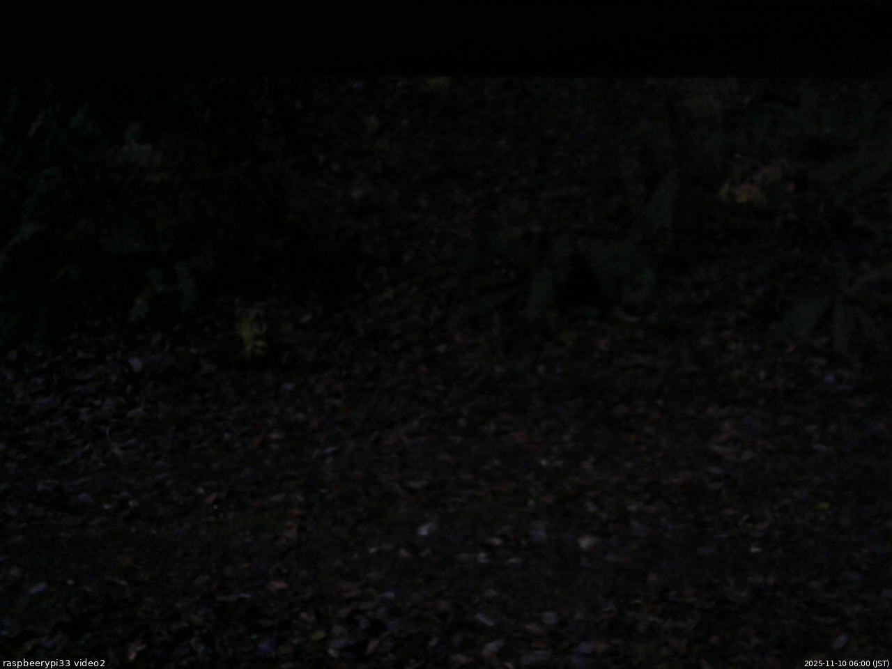 長野県菅平高原 ゆたか山荘 南側 2025/11/10 06:00