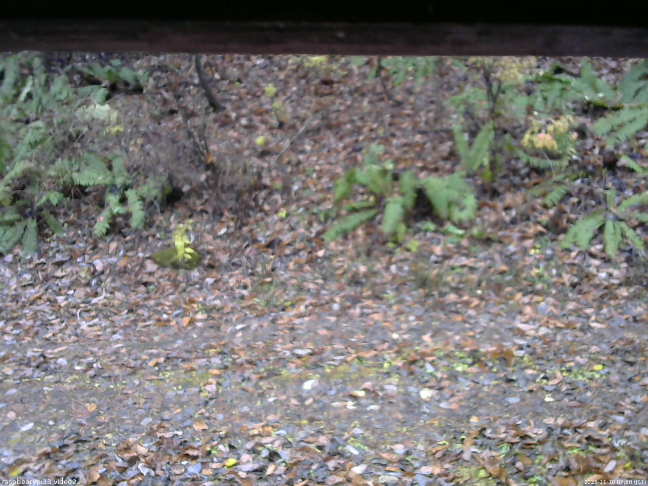 長野県菅平高原 ゆたか山荘 南側 2025/11/10 07:30