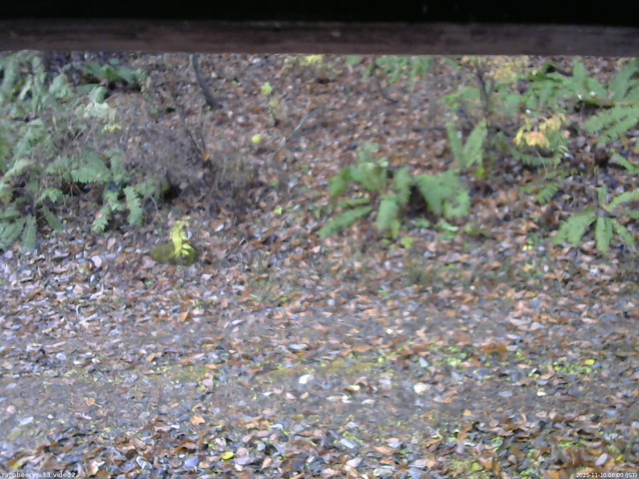 長野県菅平高原 ゆたか山荘 南側 2025/11/10 08:00
