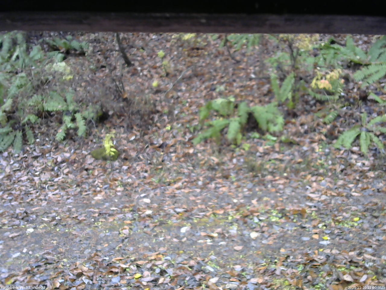 長野県菅平高原 ゆたか山荘 南側 2025/11/10 11:00