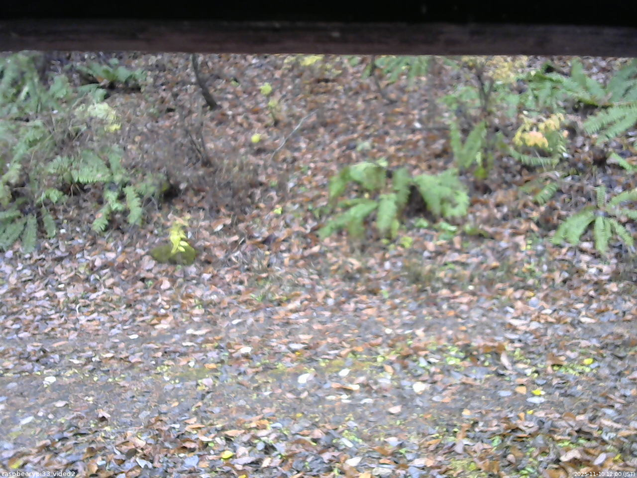 長野県菅平高原 ゆたか山荘 南側 2025/11/10 12:00