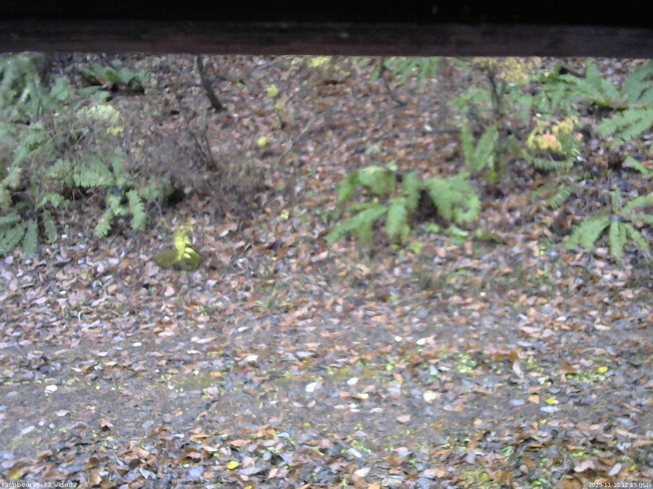 長野県菅平高原 ゆたか山荘 南側 2025/11/10 12:15
