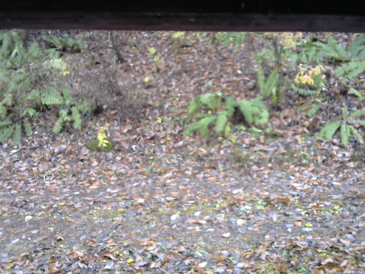 長野県菅平高原 ゆたか山荘 南側 2025/11/10 13:45