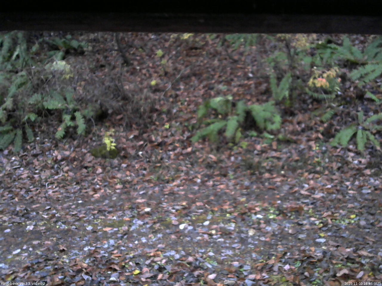 長野県菅平高原 ゆたか山荘 南側 2025/11/10 16:45
