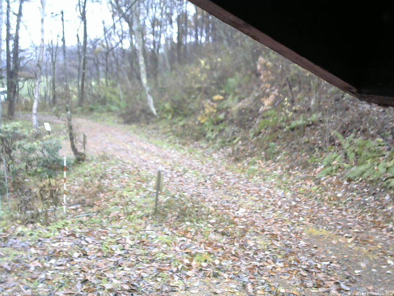 長野県菅平高原 ゆたか山荘 東側(坂下) 2025/11/10 12:00