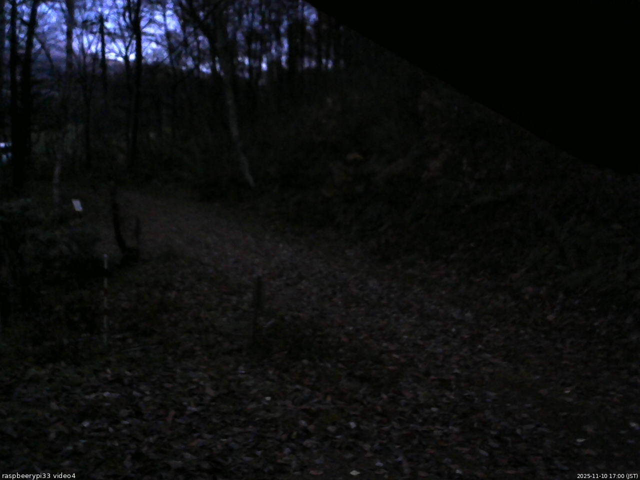 長野県菅平高原 ゆたか山荘 東側(坂下) 2025/11/10 17:00