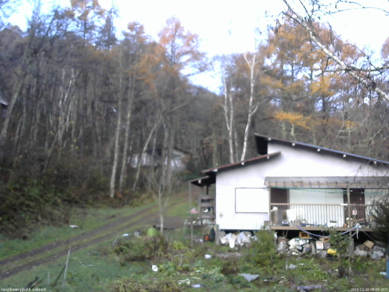 長野県菅平高原 ゆたか山荘 西側(坂上) 2025/11/10 08:00