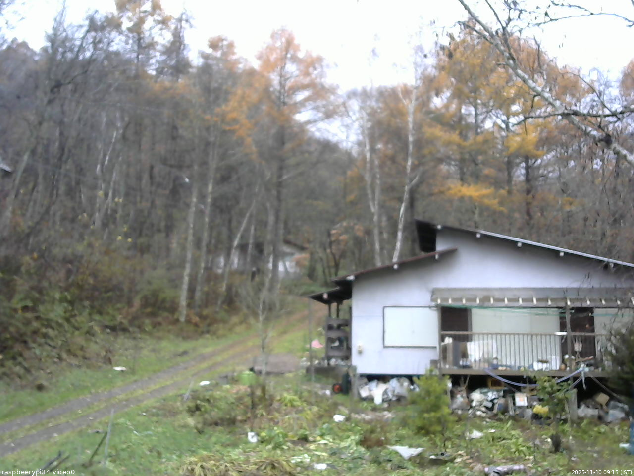 長野県菅平高原 ゆたか山荘 西側(坂上) 2025/11/10 09:15